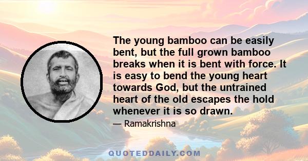 The young bamboo can be easily bent, but the full grown bamboo breaks when it is bent with force. It is easy to bend the young heart towards God, but the untrained heart of the old escapes the hold whenever it is so