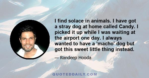 I find solace in animals. I have got a stray dog at home called Candy. I picked it up while I was waiting at the airport one day. I always wanted to have a 'macho' dog but got this sweet little thing instead.