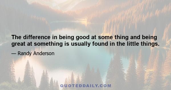 The difference in being good at some thing and being great at something is usually found in the little things.