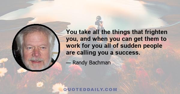 You take all the things that frighten you, and when you can get them to work for you all of sudden people are calling you a success.