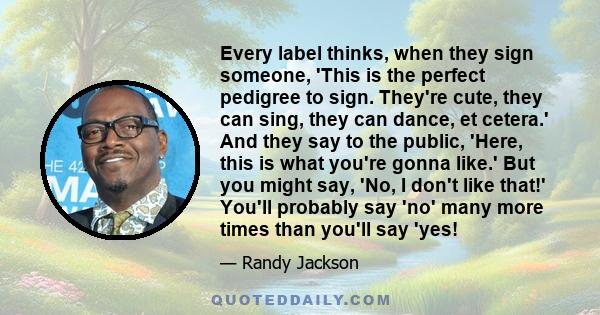 Every label thinks, when they sign someone, 'This is the perfect pedigree to sign. They're cute, they can sing, they can dance, et cetera.' And they say to the public, 'Here, this is what you're gonna like.' But you