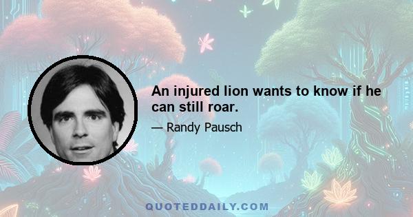 An injured lion wants to know if he can still roar.