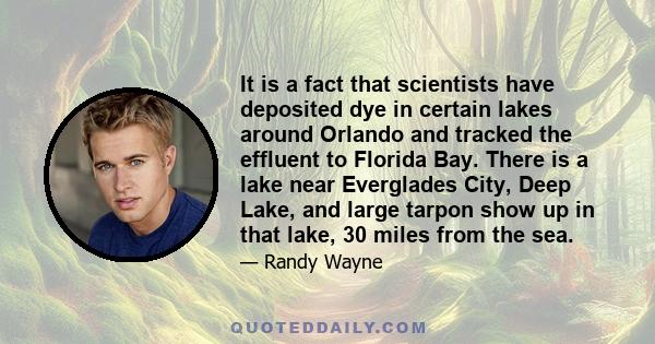 It is a fact that scientists have deposited dye in certain lakes around Orlando and tracked the effluent to Florida Bay. There is a lake near Everglades City, Deep Lake, and large tarpon show up in that lake, 30 miles