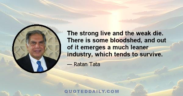 The strong live and the weak die. There is some bloodshed, and out of it emerges a much leaner industry, which tends to survive.