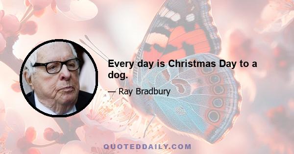 Every day is Christmas Day to a dog.