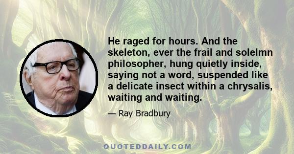 He raged for hours. And the skeleton, ever the frail and solelmn philosopher, hung quietly inside, saying not a word, suspended like a delicate insect within a chrysalis, waiting and waiting.