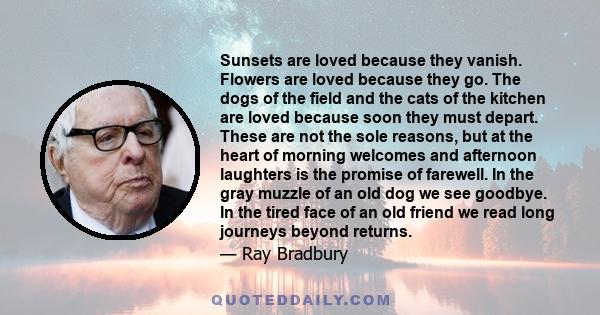 Sunsets are loved because they vanish. Flowers are loved because they go. The dogs of the field and the cats of the kitchen are loved because soon they must depart. These are not the sole reasons, but at the heart of