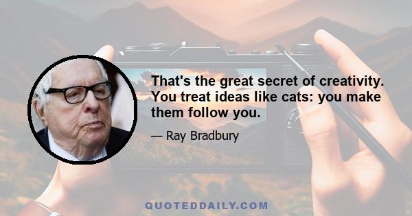 That's the great secret of creativity. You treat ideas like cats: you make them follow you.