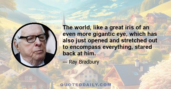 The world, like a great iris of an even more gigantic eye, which has also just opened and stretched out to encompass everything, stared back at him.