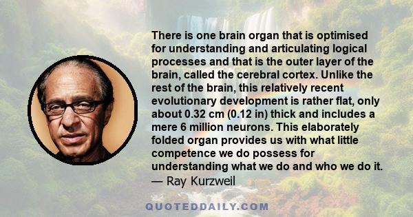 There is one brain organ that is optimised for understanding and articulating logical processes and that is the outer layer of the brain, called the cerebral cortex. Unlike the rest of the brain, this relatively recent