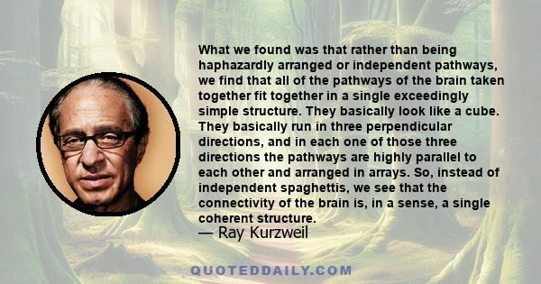 What we found was that rather than being haphazardly arranged or independent pathways, we find that all of the pathways of the brain taken together fit together in a single exceedingly simple structure. They basically