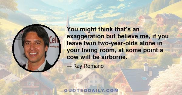 You might think that's an exaggeration but believe me, if you leave twin two-year-olds alone in your living room, at some point a cow will be airborne.