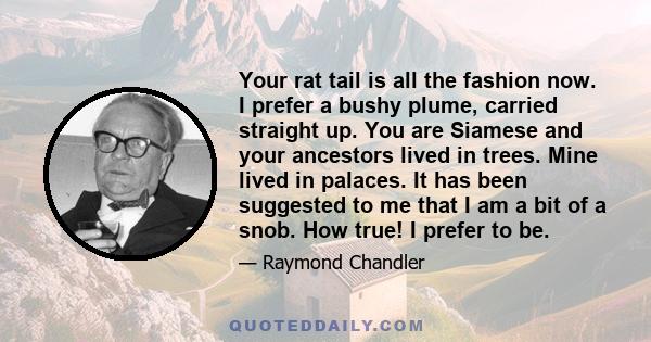 Your rat tail is all the fashion now. I prefer a bushy plume, carried straight up. You are Siamese and your ancestors lived in trees. Mine lived in palaces. It has been suggested to me that I am a bit of a snob. How