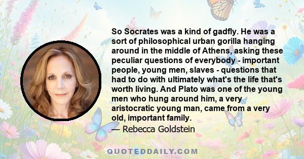 So Socrates was a kind of gadfly. He was a sort of philosophical urban gorilla hanging around in the middle of Athens, asking these peculiar questions of everybody - important people, young men, slaves - questions that