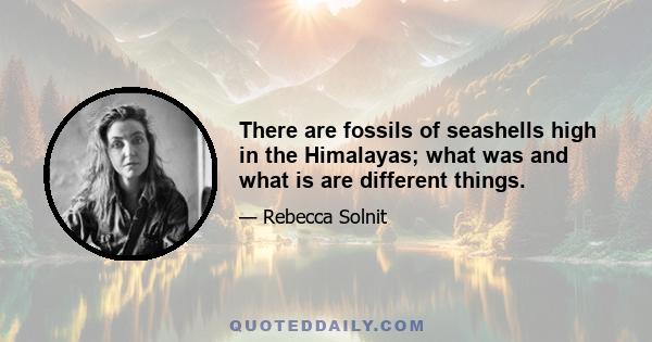 There are fossils of seashells high in the Himalayas; what was and what is are different things.