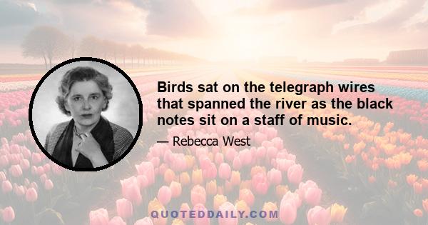 Birds sat on the telegraph wires that spanned the river as the black notes sit on a staff of music.