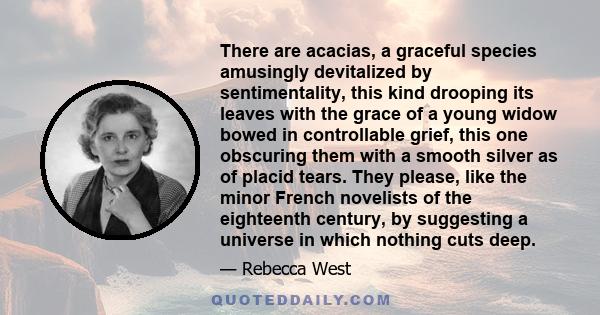 There are acacias, a graceful species amusingly devitalized by sentimentality, this kind drooping its leaves with the grace of a young widow bowed in controllable grief, this one obscuring them with a smooth silver as