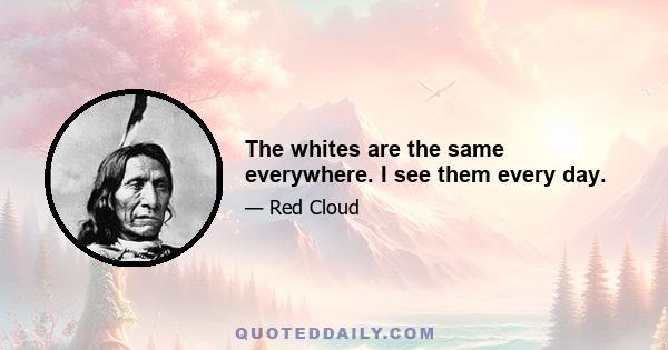 The whites are the same everywhere. I see them every day.