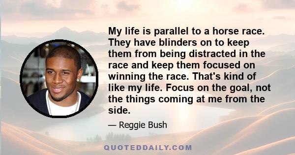 My life is parallel to a horse race. They have blinders on to keep them from being distracted in the race and keep them focused on winning the race. That's kind of like my life. Focus on the goal, not the things coming