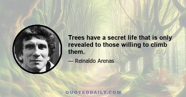 Trees have a secret life that is only revealed to those willing to climb them.