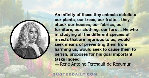 An infinity of these tiny animals defoliate our plants, our trees, our fruits... they attack our houses, our fabrics, our furniture, our clothing, our furs ... He who in studying all the different species of insects