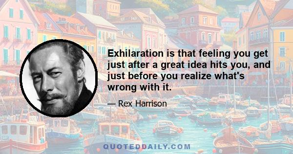 Exhilaration is that feeling you get just after a great idea hits you, and just before you realize what's wrong with it.