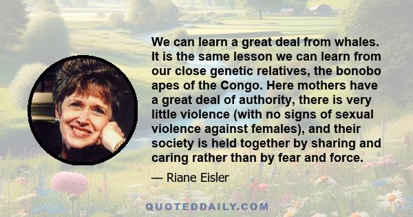 We can learn a great deal from whales. It is the same lesson we can learn from our close genetic relatives, the bonobo apes of the Congo. Here mothers have a great deal of authority, there is very little violence (with