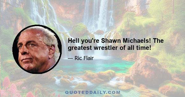 Hell you're Shawn Michaels! The greatest wrestler of all time!