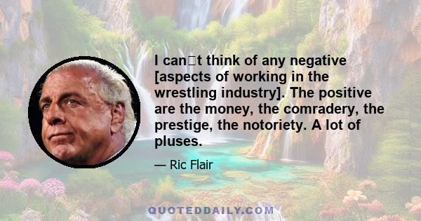 I cant think of any negative [aspects of working in the wrestling industry]. The positive are the money, the comradery, the prestige, the notoriety. A lot of pluses.