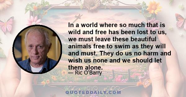 In a world where so much that is wild and free has been lost to us, we must leave these beautiful animals free to swim as they will and must. They do us no harm and wish us none and we should let them alone.