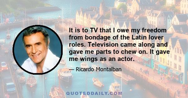 It is to TV that I owe my freedom from bondage of the Latin lover roles. Television came along and gave me parts to chew on. It gave me wings as an actor.