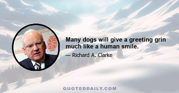 Many dogs will give a greeting grin much like a human smile.