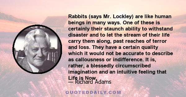 Rabbits (says Mr. Lockley) are like human beings in many ways. One of these is certainly their staunch ability to withstand disaster and to let the stream of their life carry them along, past reaches of terror and loss. 