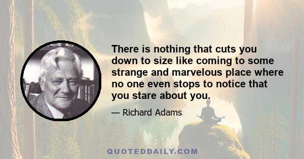 There is nothing that cuts you down to size like coming to some strange and marvelous place where no one even stops to notice that you stare about you.