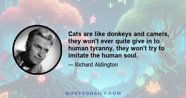 Cats are like donkeys and camels, they won't ever quite give in to human tyranny, they won't try to imitate the human soul.