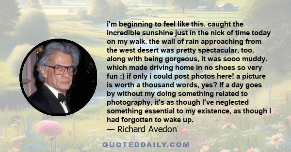 i'm beginning to feel like this. caught the incredible sunshine just in the nick of time today on my walk. the wall of rain approaching from the west desert was pretty spectacular, too. along with being gorgeous, it was 