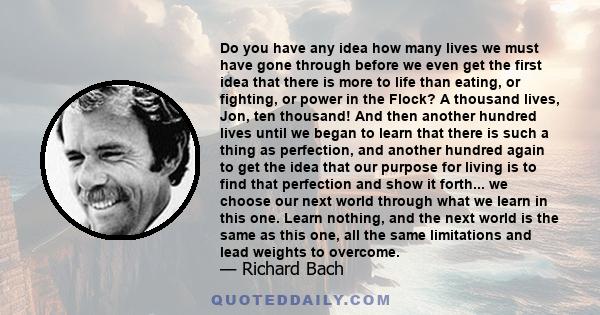 Do you have any idea how many lives we must have gone through before we even get the first idea that there is more to life than eating, or fighting, or power in the Flock? A thousand lives, Jon, ten thousand! And then