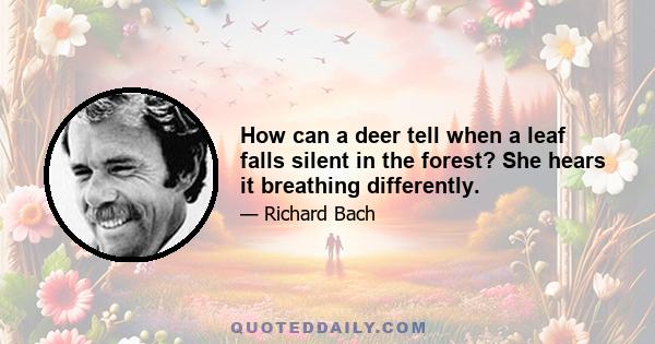 How can a deer tell when a leaf falls silent in the forest? She hears it breathing differently.