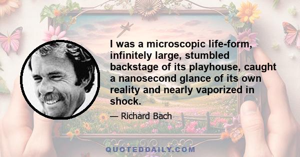 I was a microscopic life-form, infinitely large, stumbled backstage of its playhouse, caught a nanosecond glance of its own reality and nearly vaporized in shock.