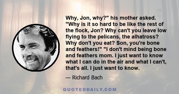 Why, Jon, why? his mother asked. Why is it so hard to be like the rest of the flock, Jon? Why can't you leave low flying to the pelicans, the alhatross? Why don't you eat? Son, you're bone and feathers! I don't mind