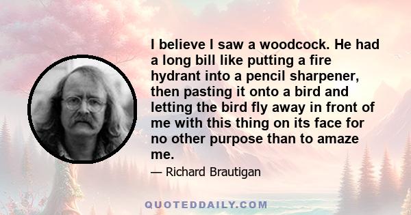 I believe I saw a woodcock. He had a long bill like putting a fire hydrant into a pencil sharpener, then pasting it onto a bird and letting the bird fly away in front of me with this thing on its face for no other