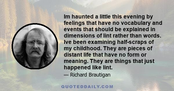 Im haunted a little this evening by feelings that have no vocabulary and events that should be explained in dimensions of lint rather than words. Ive been examining half-scraps of my childhood. They are pieces of