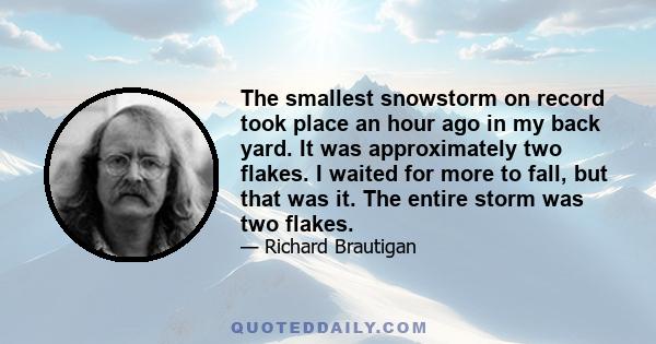 The smallest snowstorm on record took place an hour ago in my back yard. It was approximately two flakes. I waited for more to fall, but that was it. The entire storm was two flakes.