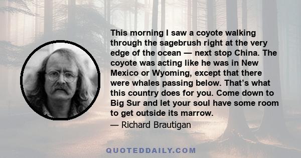 This morning I saw a coyote walking through the sagebrush right at the very edge of the ocean ― next stop China. The coyote was acting like he was in New Mexico or Wyoming, except that there were whales passing below.