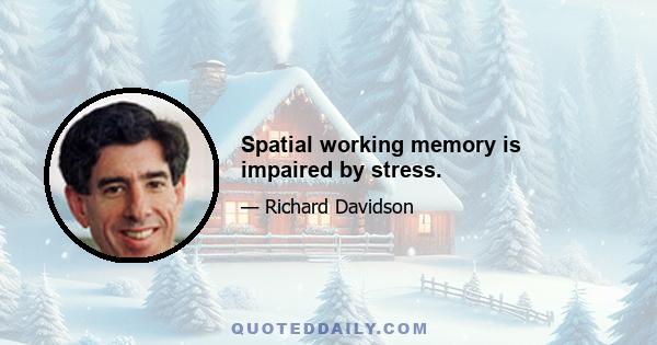 Spatial working memory is impaired by stress.