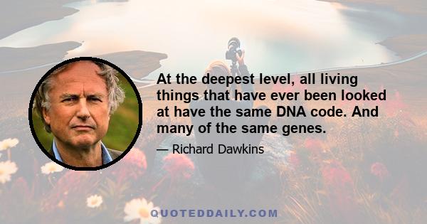 At the deepest level, all living things that have ever been looked at have the same DNA code. And many of the same genes.