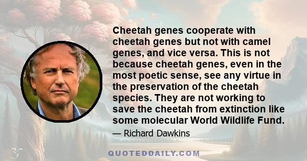 Cheetah genes cooperate with cheetah genes but not with camel genes, and vice versa. This is not because cheetah genes, even in the most poetic sense, see any virtue in the preservation of the cheetah species. They are