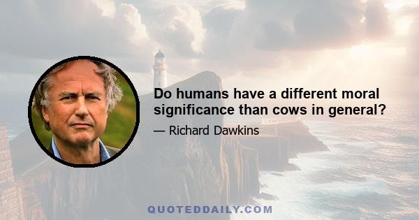 Do humans have a different moral significance than cows in general?