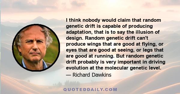 I think nobody would claim that random genetic drift is capable of producing adaptation, that is to say the illusion of design. Random genetic drift can't produce wings that are good at flying, or eyes that are good at