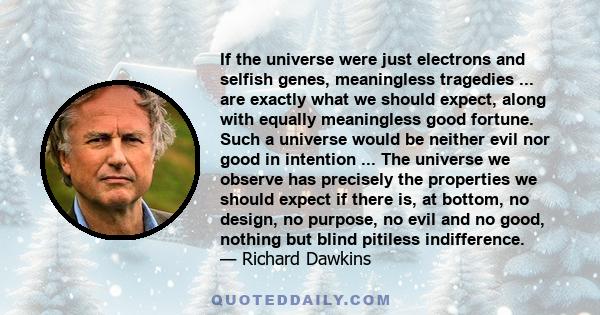 If the universe were just electrons and selfish genes, meaningless tragedies ... are exactly what we should expect, along with equally meaningless good fortune. Such a universe would be neither evil nor good in